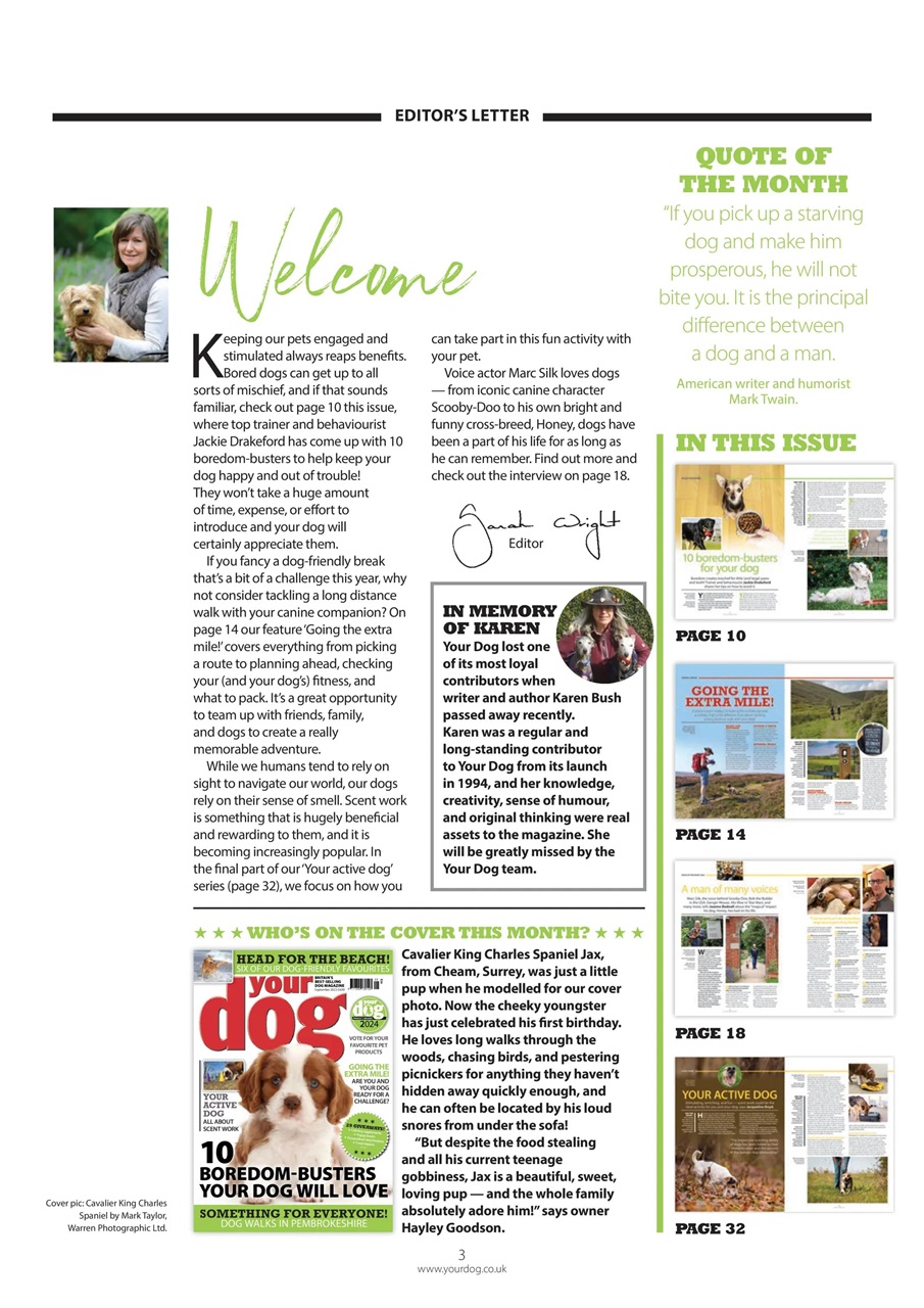 Your Dog Preview Pages