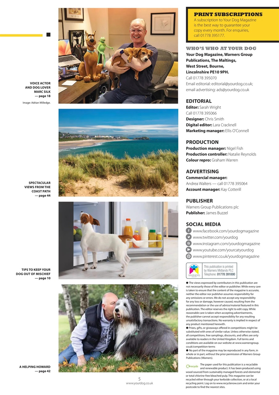 Your Dog Preview Pages