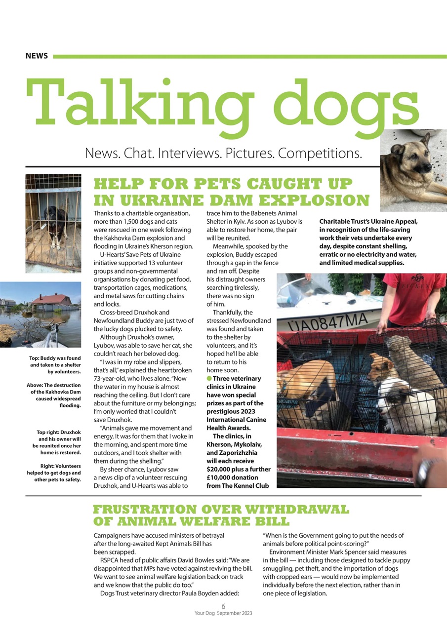 Your Dog Preview Pages