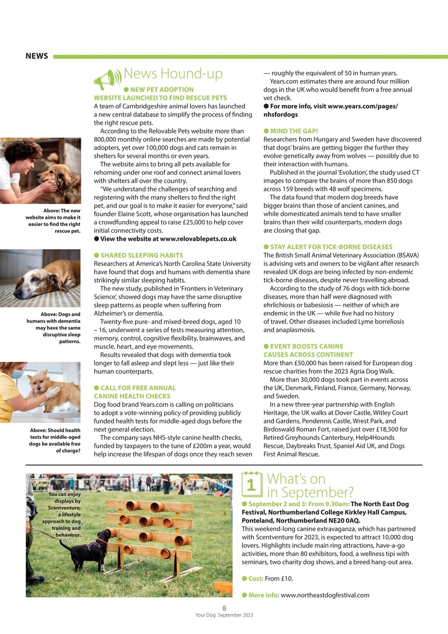Your Dog Preview Pages