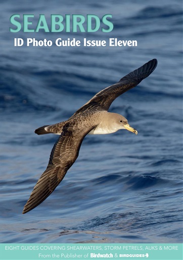 Bird ID Photo Guides issue 