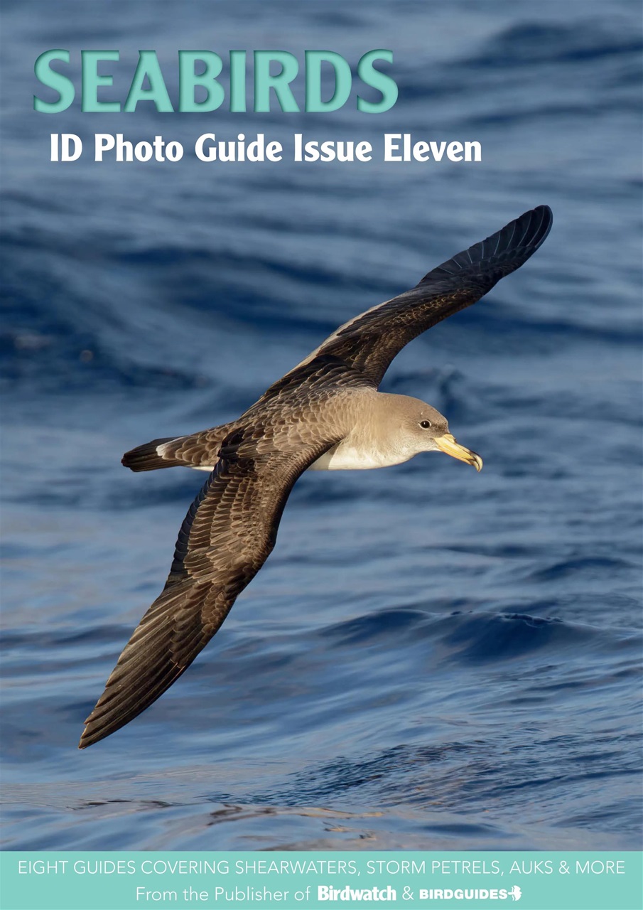 Bird ID Photo Guides Preview Pages