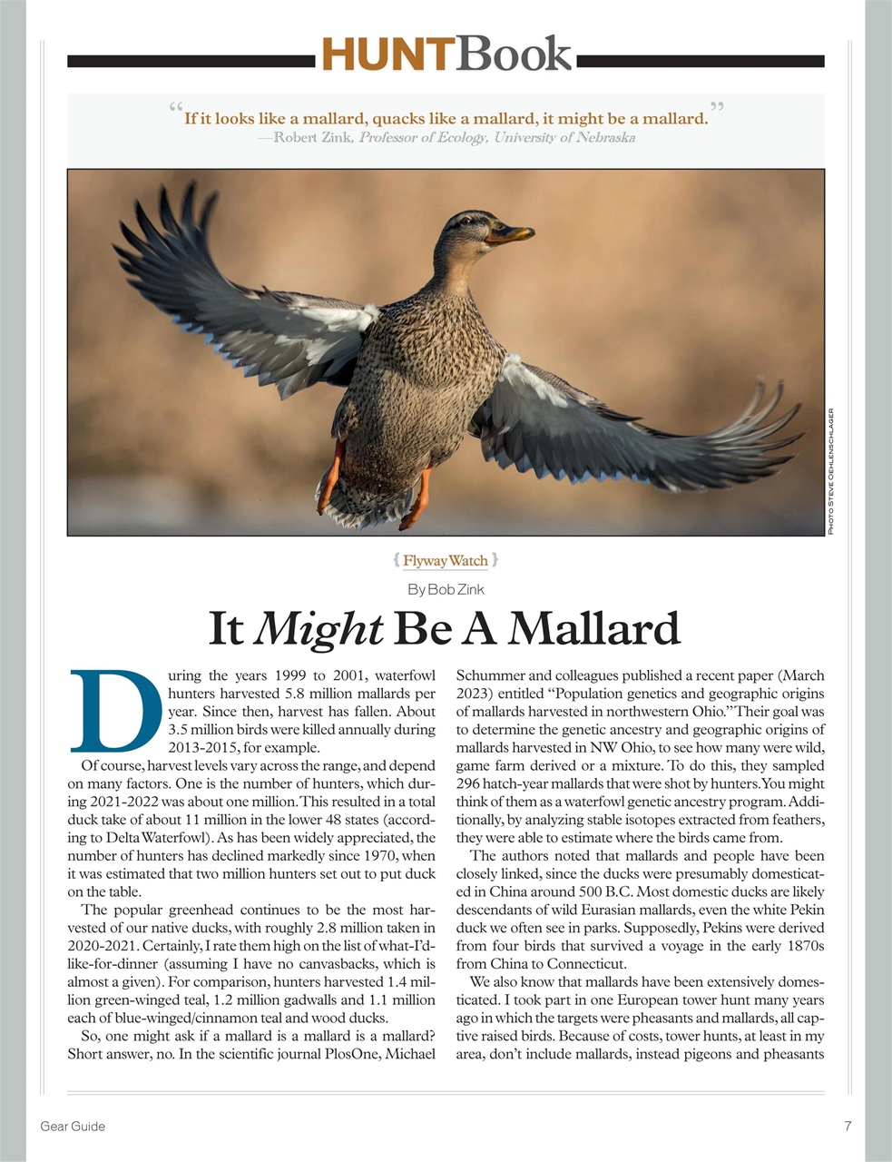 American Waterfowler Preview Pages