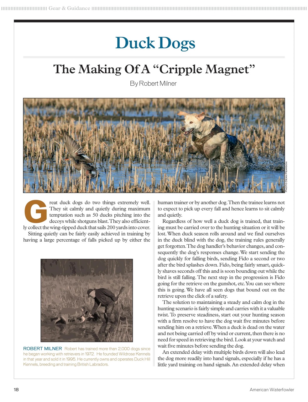 American Waterfowler Preview Pages