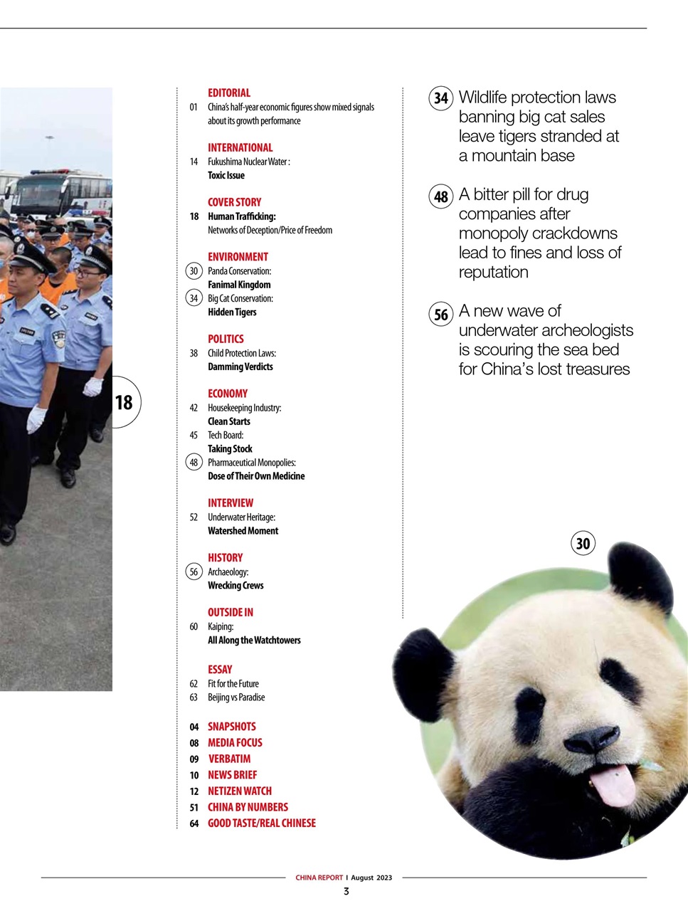 China Report Preview Pages