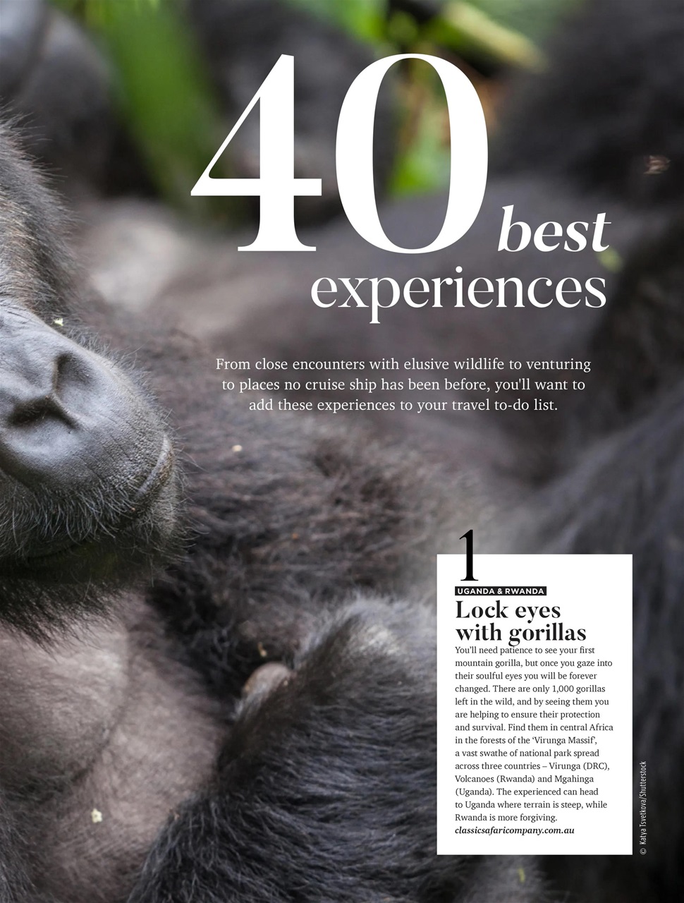 Vacations & Travel Preview Pages