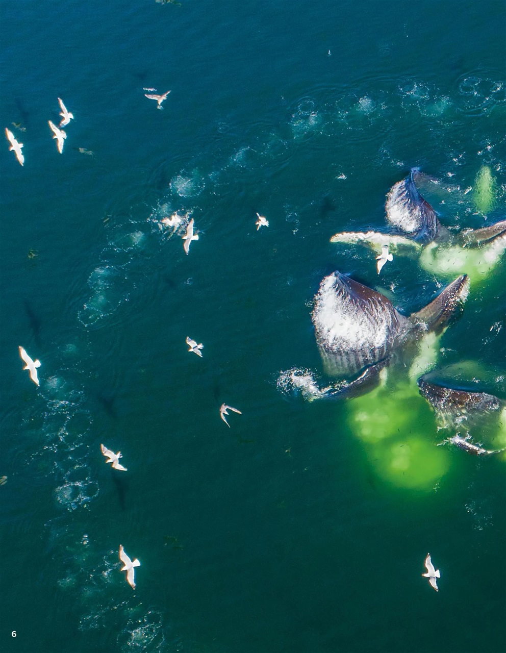 How It Works Preview Pages