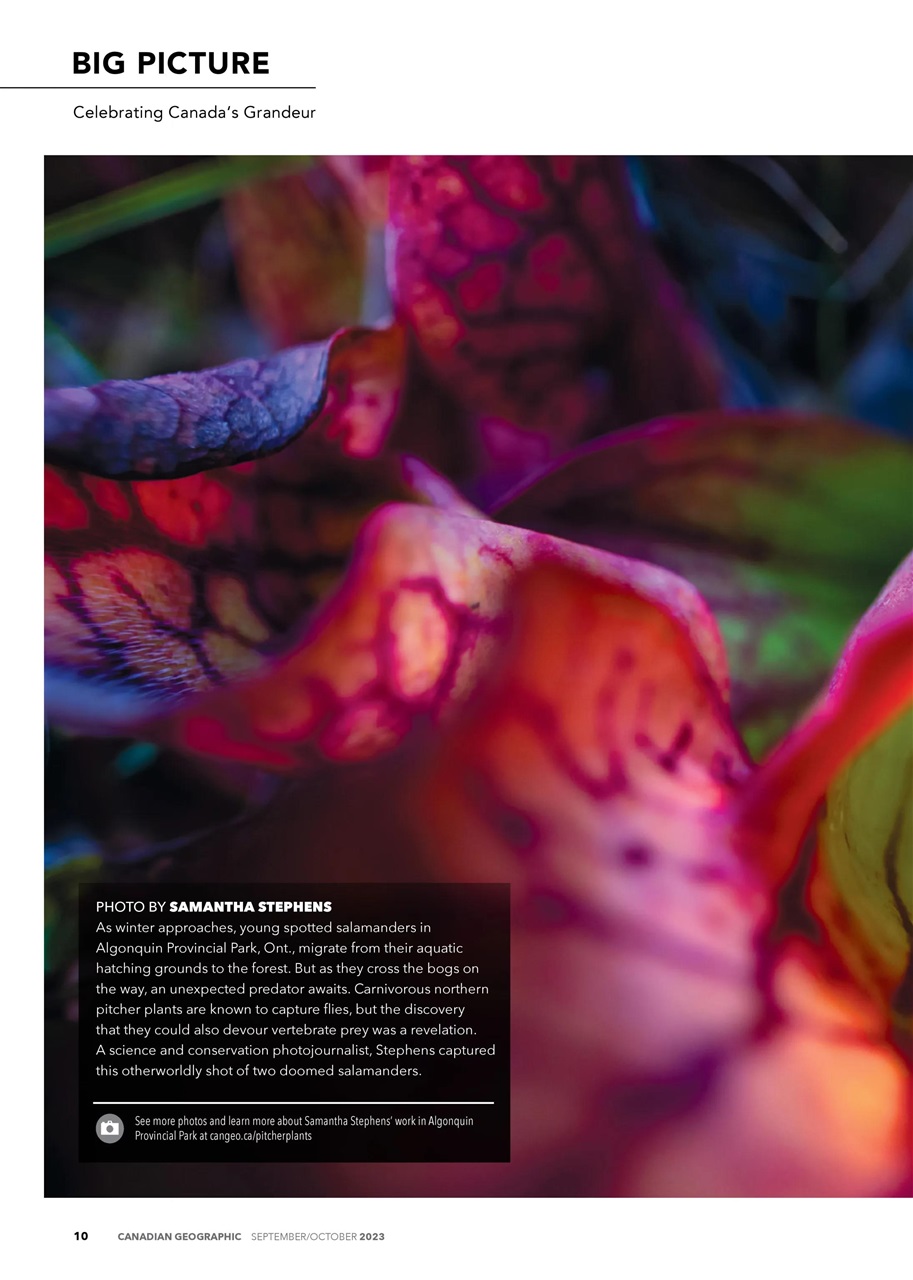 Canadian Geographic Preview Pages