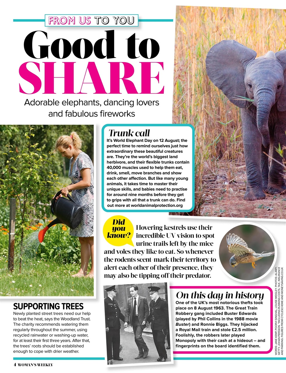 Woman's Weekly Preview Pages