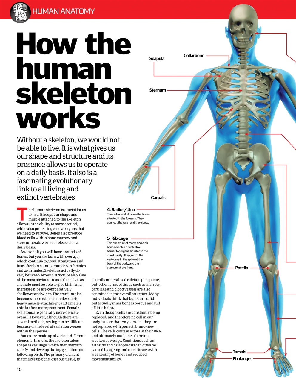 How It Works Bookazine Preview Pages
