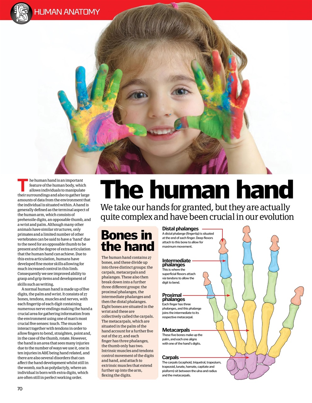 How It Works Bookazine Preview Pages