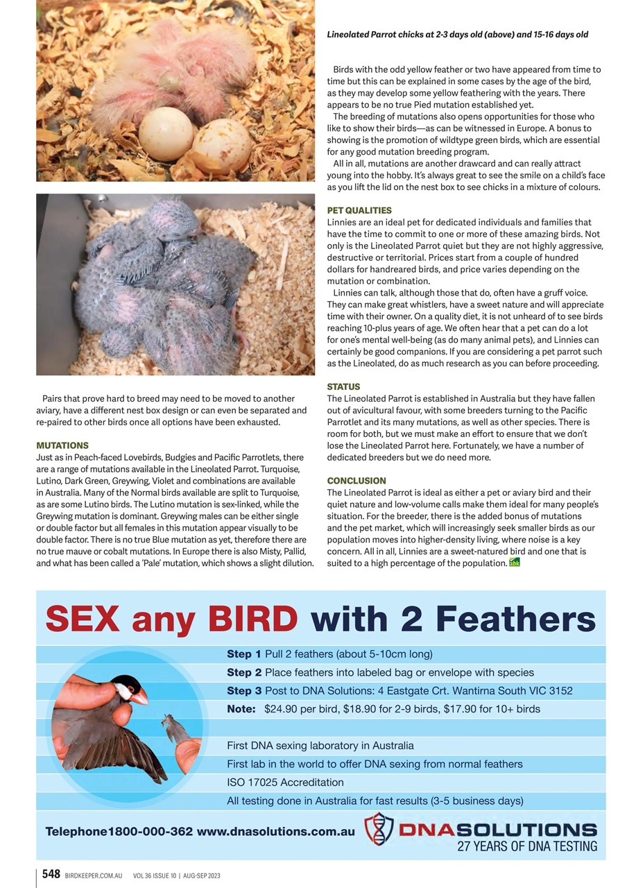 Australian Birdkeeper Magazine Preview Pages