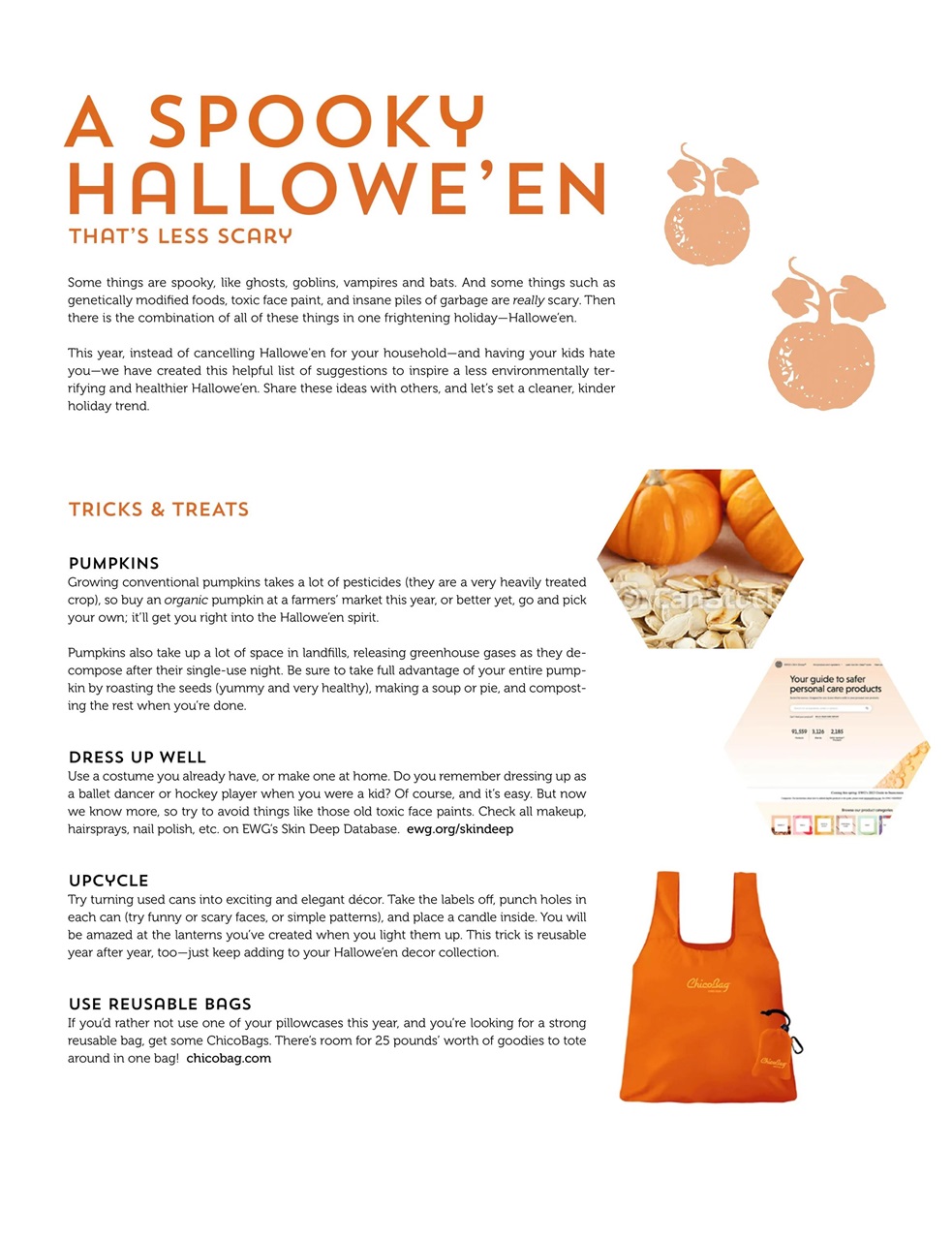 Ecoparent Magazine Preview Pages