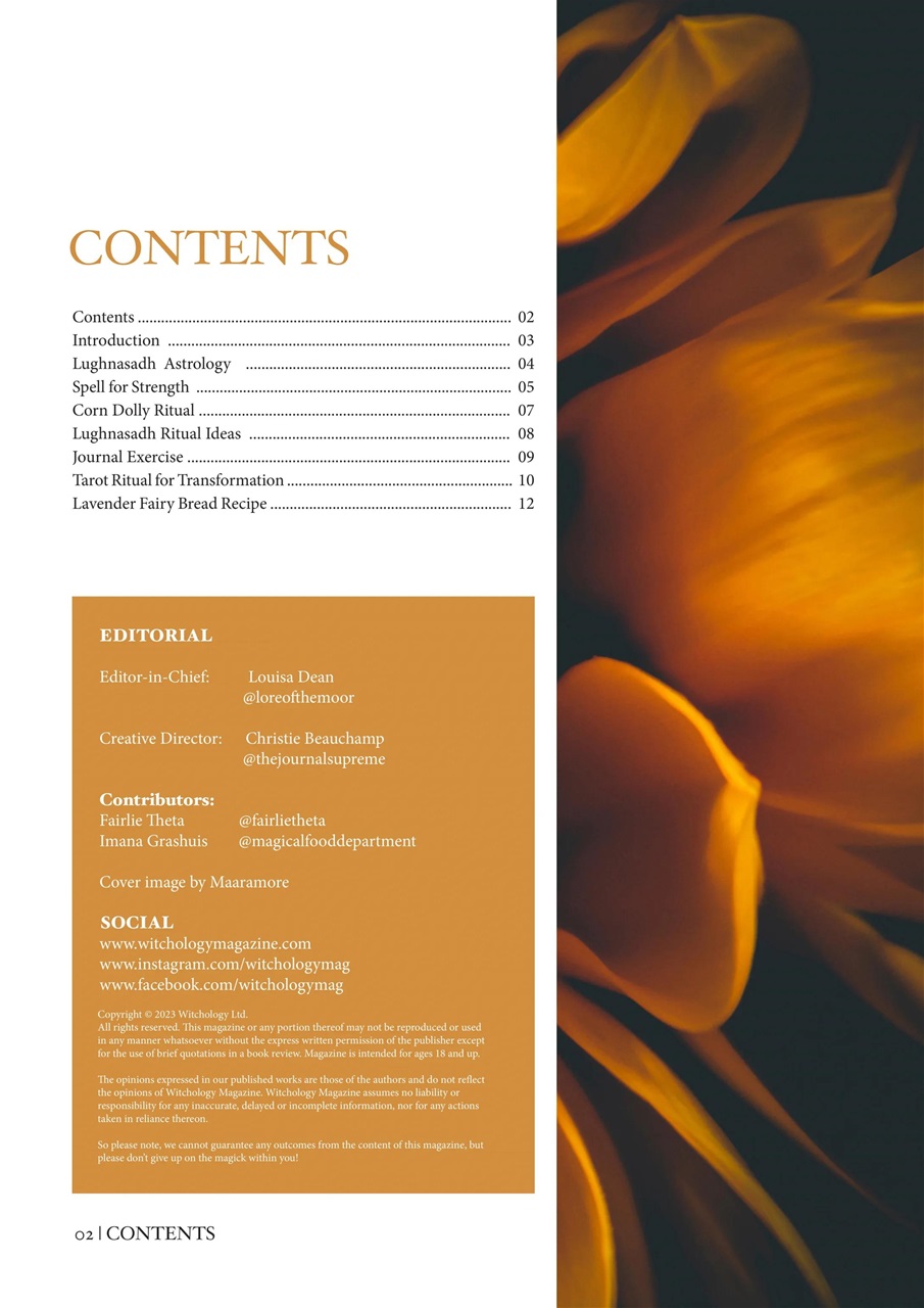 Witchology Magazine Preview Pages