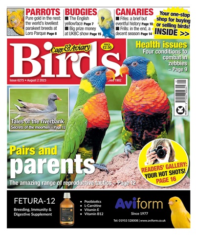 Cage & Aviary Birds issue 2-Aug-23