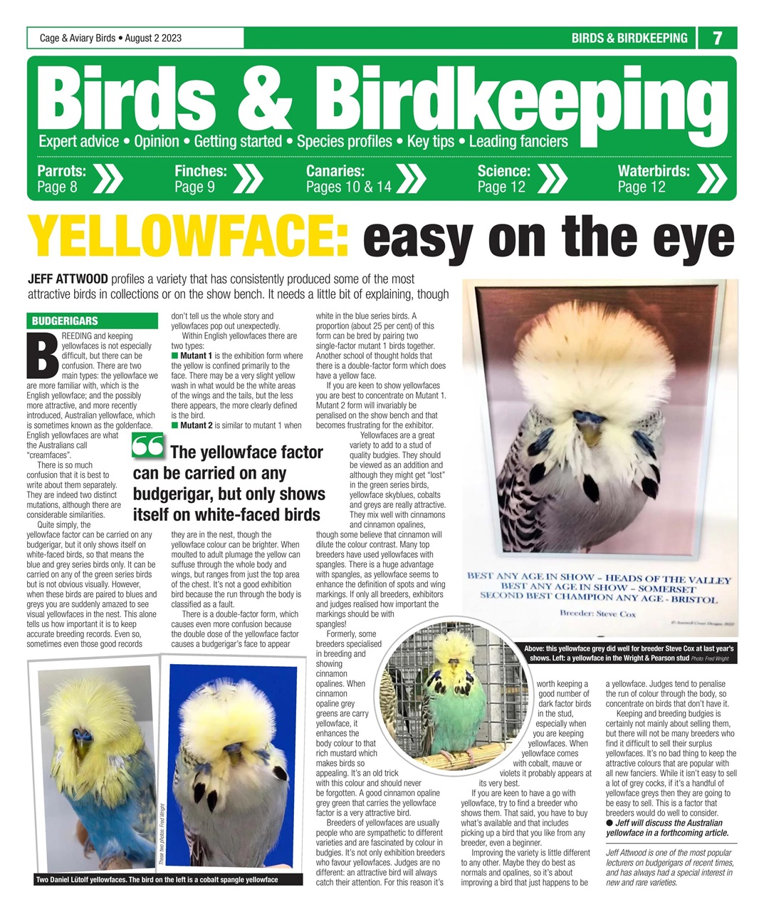 Cage & Aviary Birds Preview Pages
