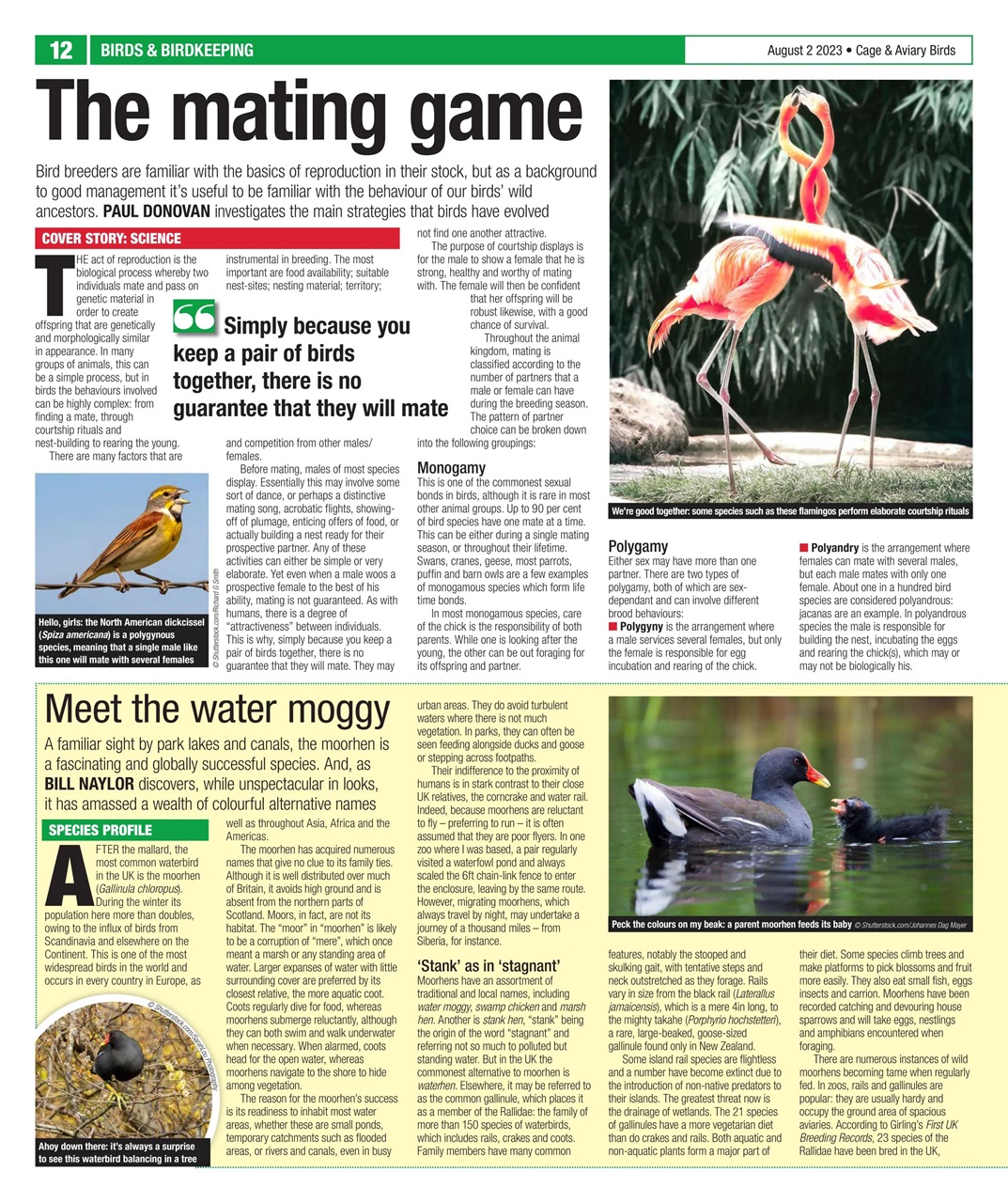 Cage & Aviary Birds Preview Pages