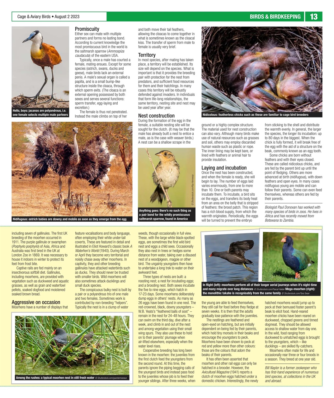 Cage & Aviary Birds Preview Pages