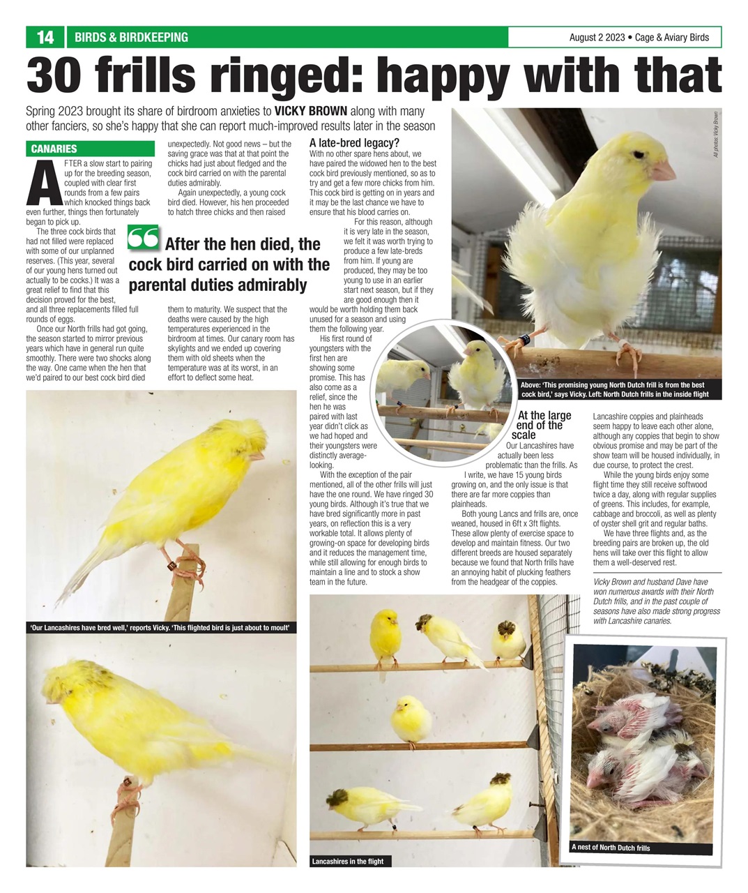 Cage & Aviary Birds Preview Pages