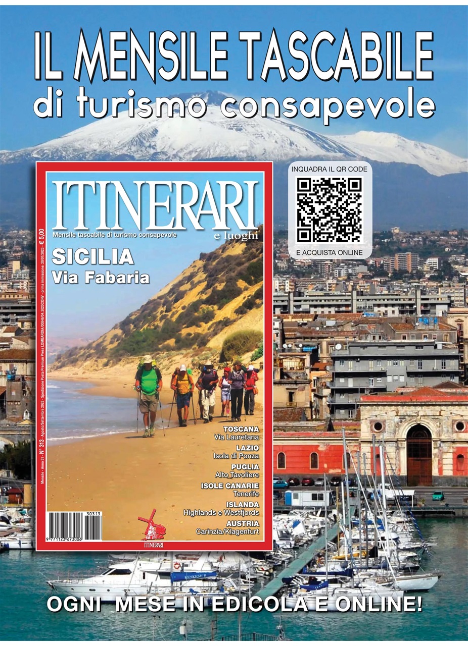 ARMI SHOP Preview Pages