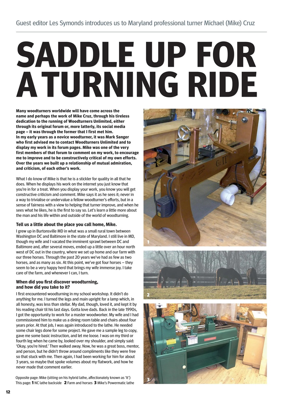 Woodturning Preview Pages