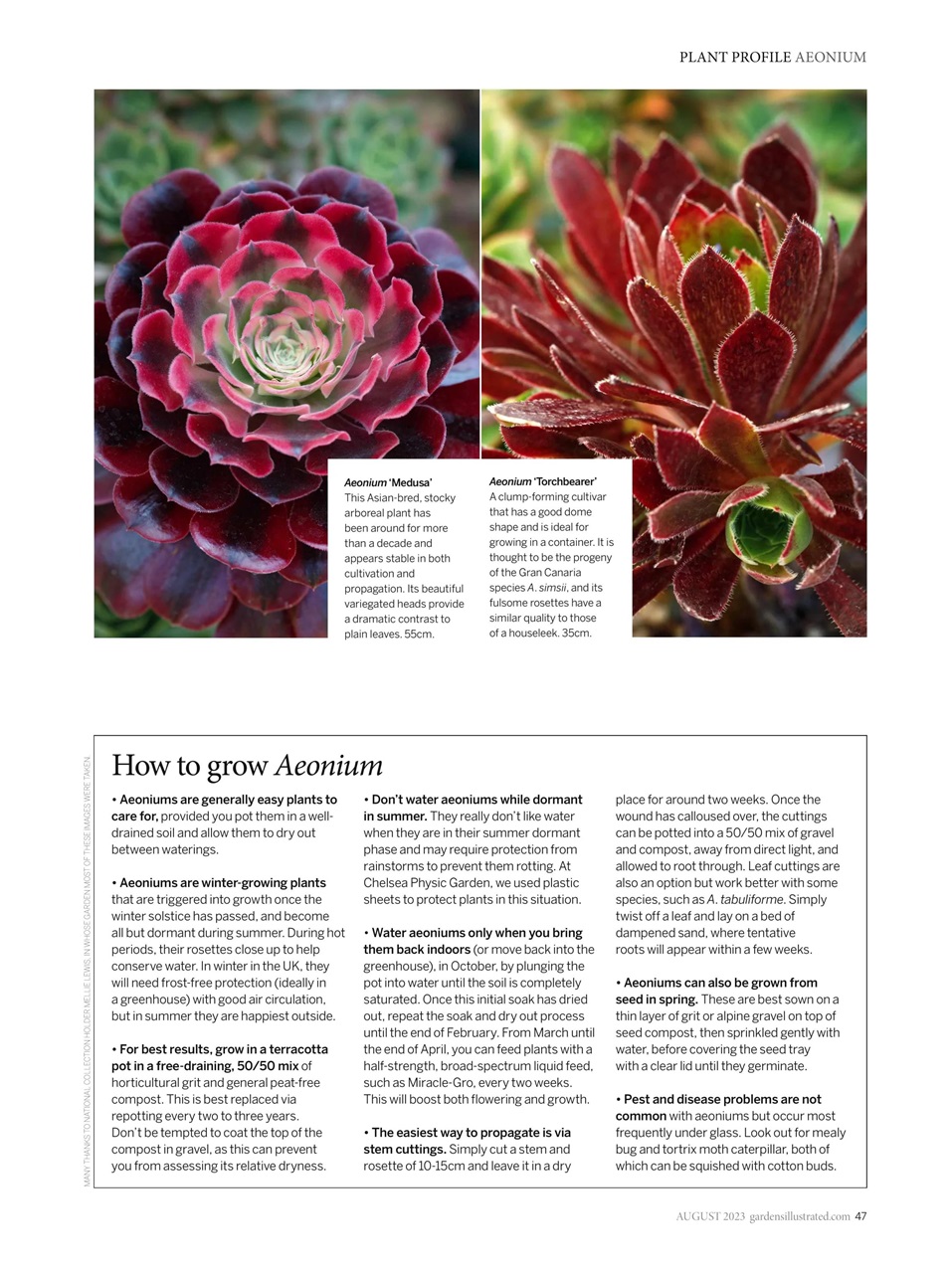 Gardens Illustrated Preview Pages