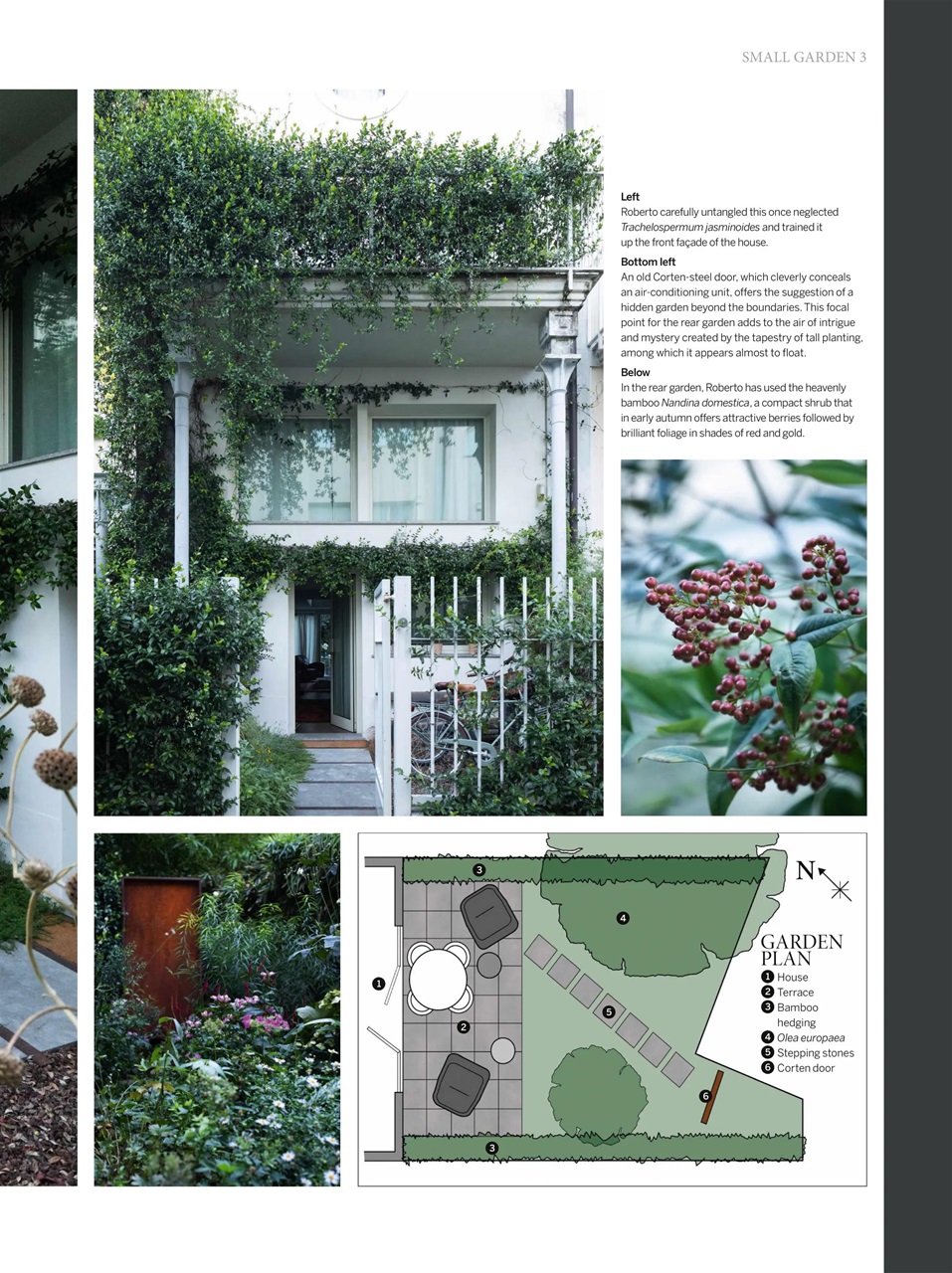 Gardens Illustrated Preview Pages