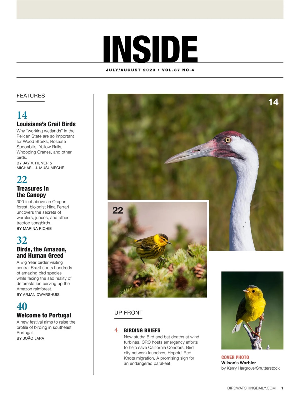 BirdWatching Preview Pages