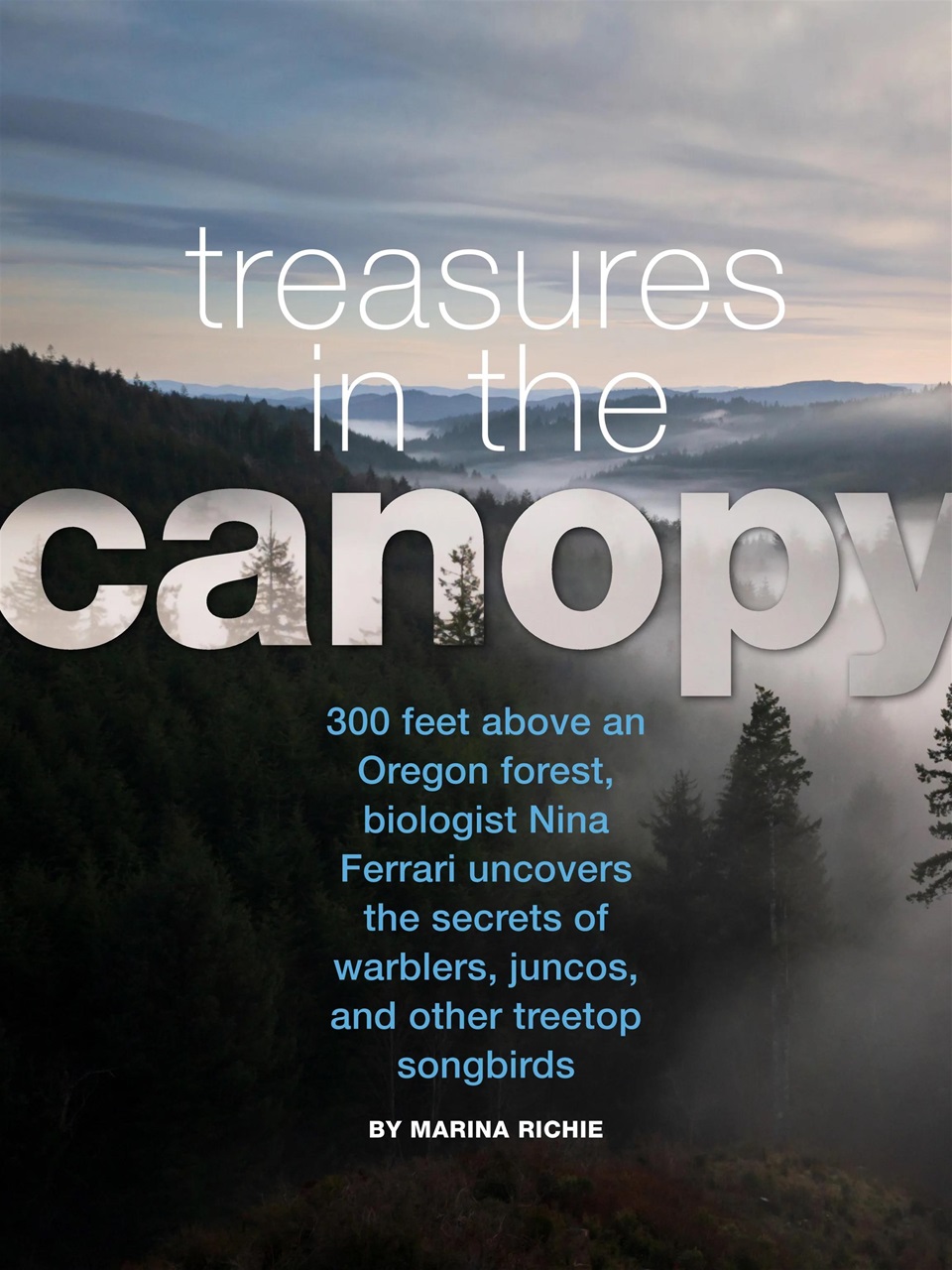 BirdWatching Preview Pages