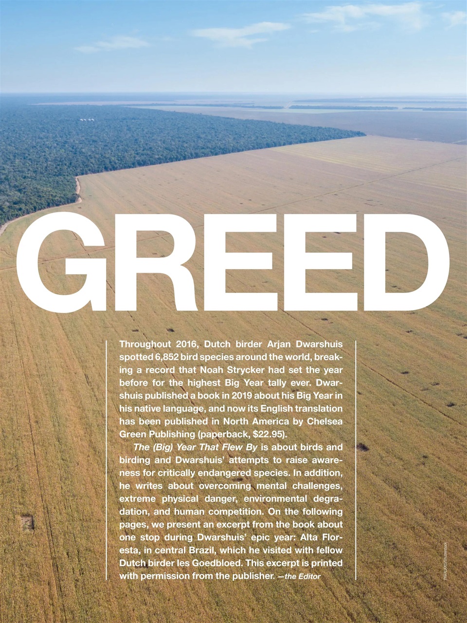 BirdWatching Preview Pages