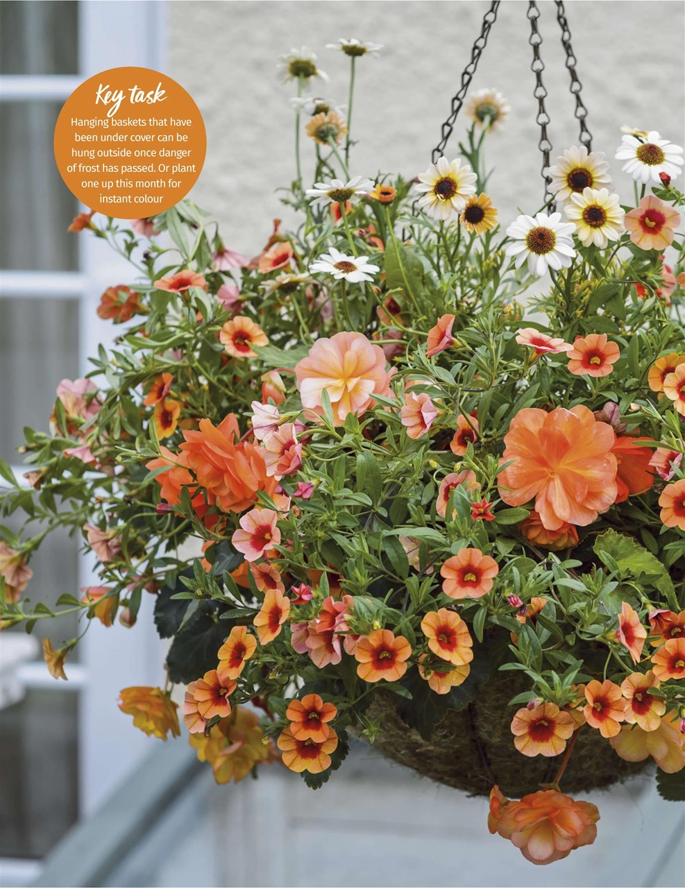 BBC Gardeners’ World Magazine Preview Pages