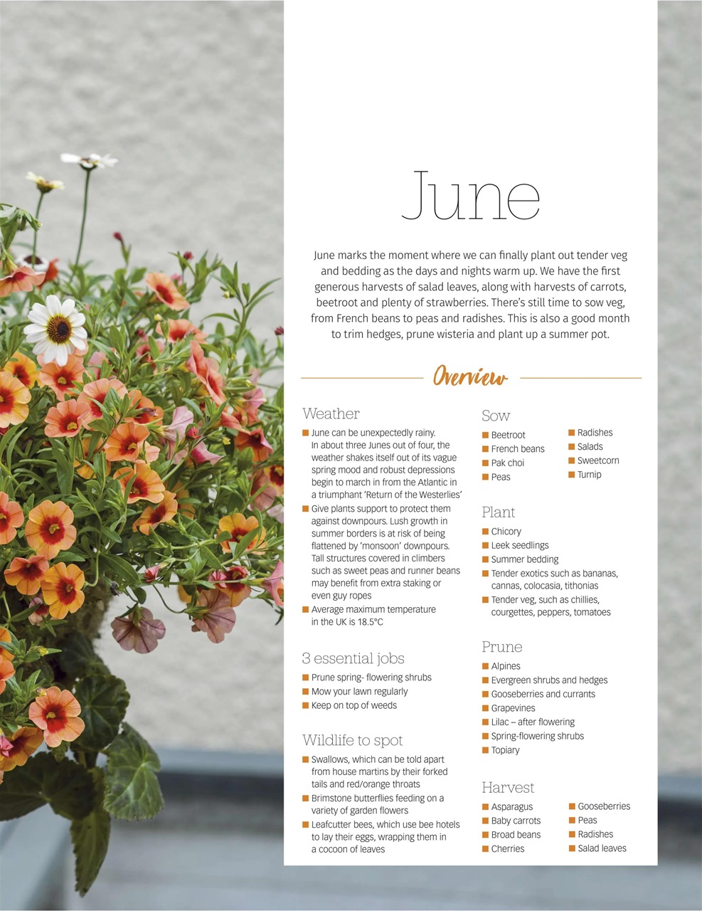 BBC Gardeners’ World Magazine Preview Pages