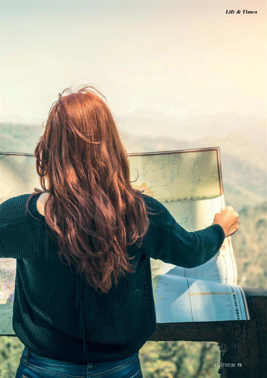 Platinum Preview Pages