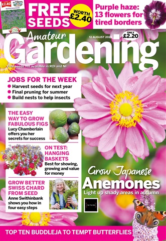 Amateur Gardening issue 12th August 2023