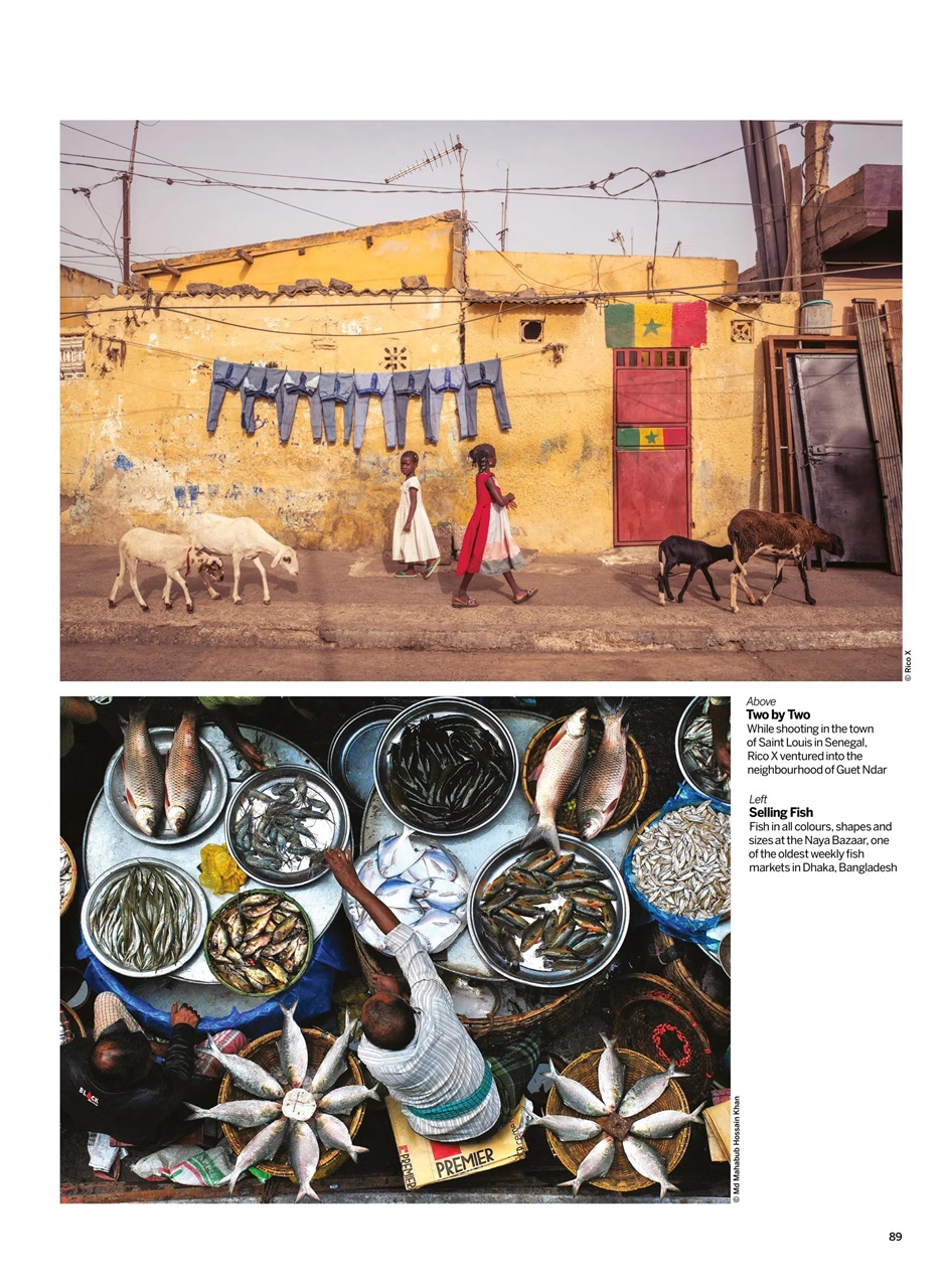 Digital Photographer Preview Pages