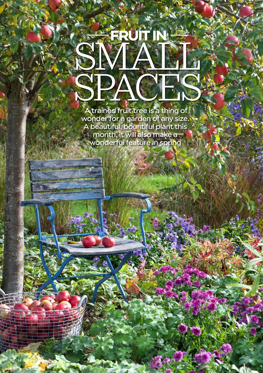 Garden Answers Preview Pages