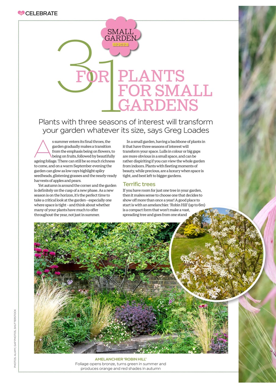 Garden Answers Preview Pages