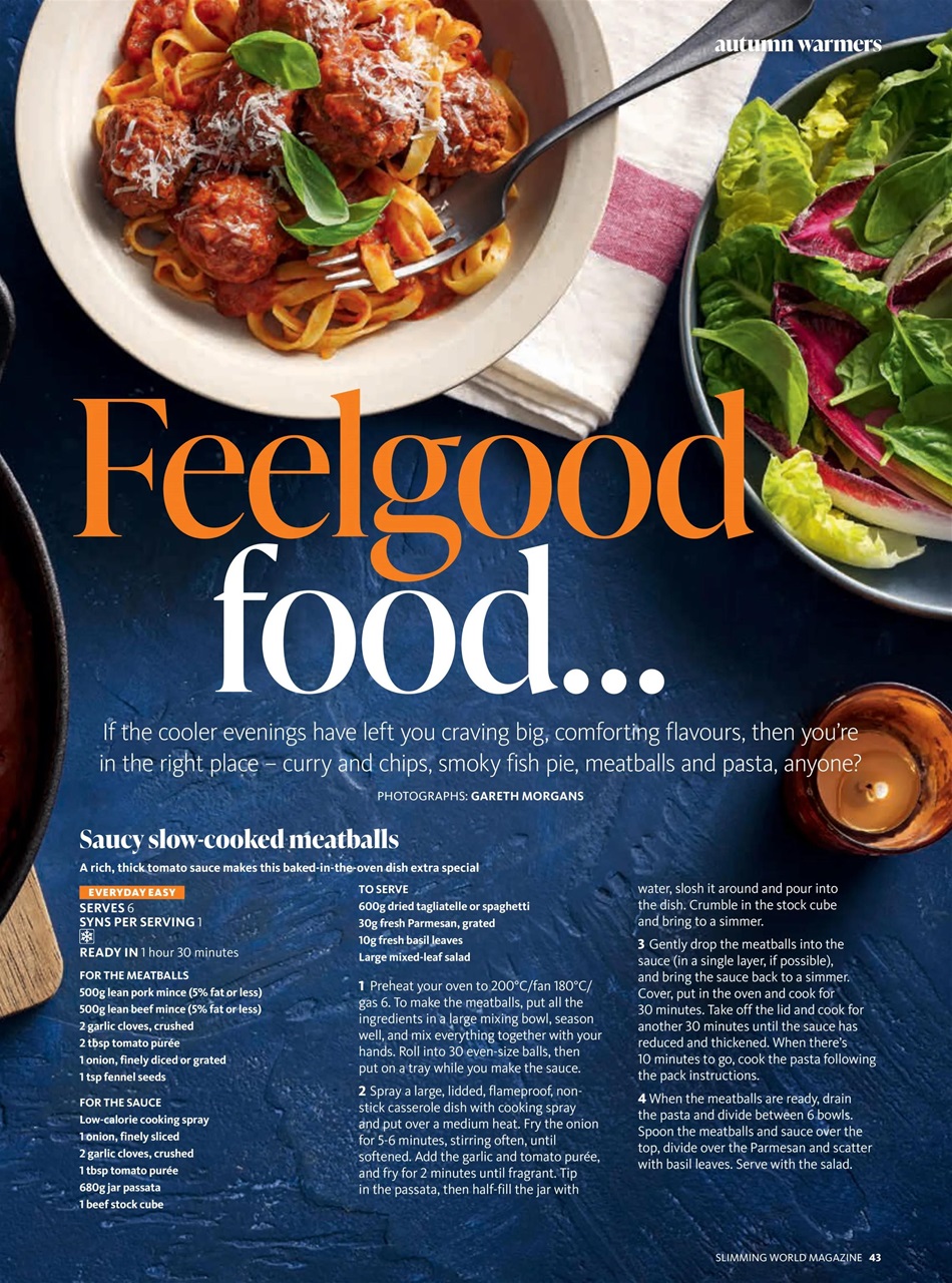Slimming World Preview Pages