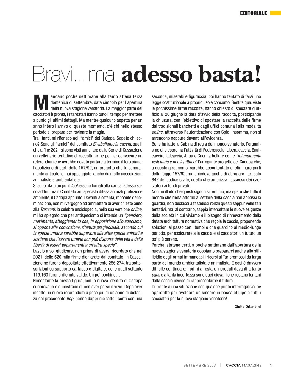 Caccia Magazine Preview Pages