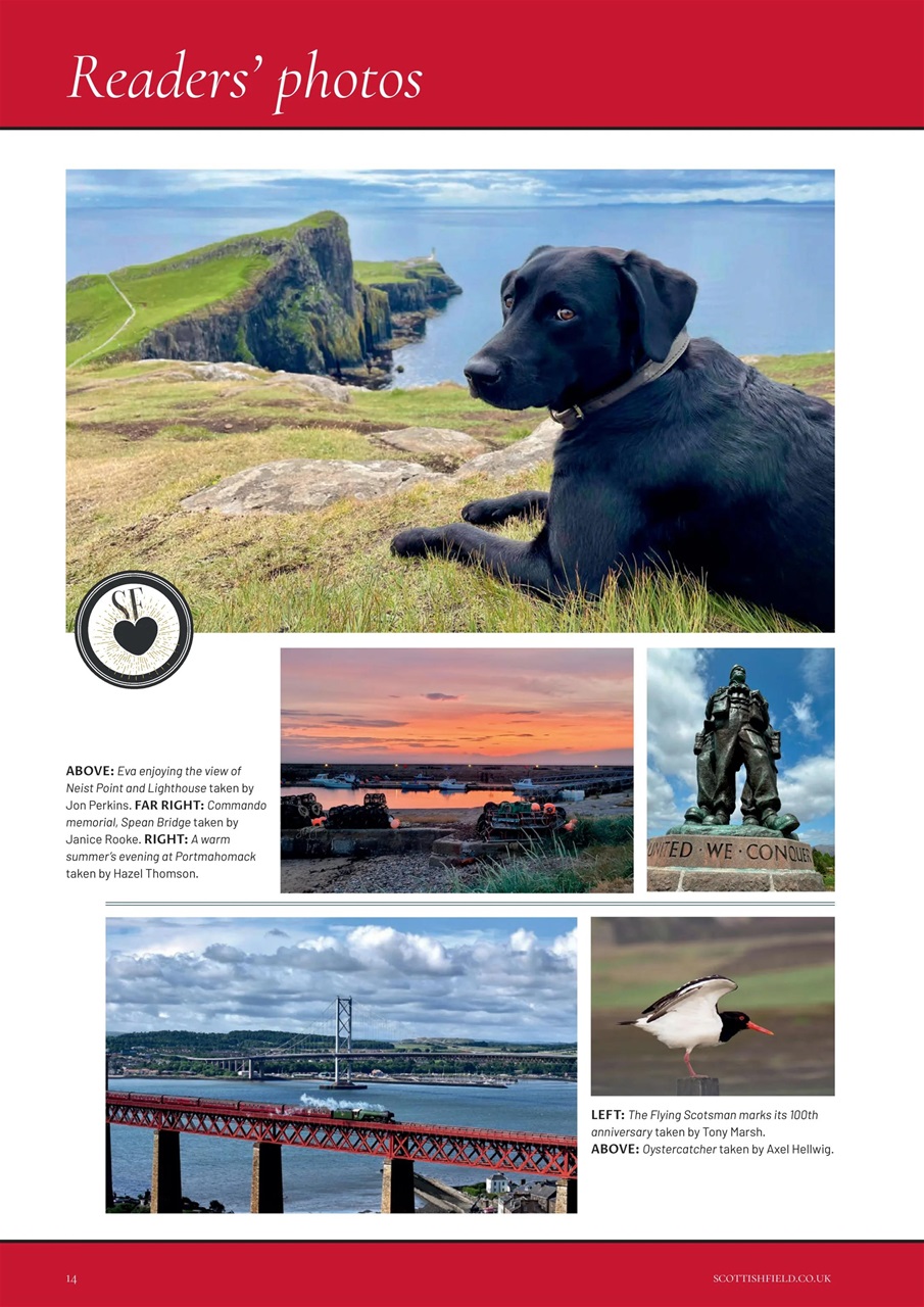 Scottish Field Preview Pages
