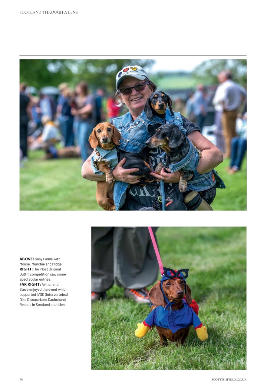 Scottish Field Preview Pages