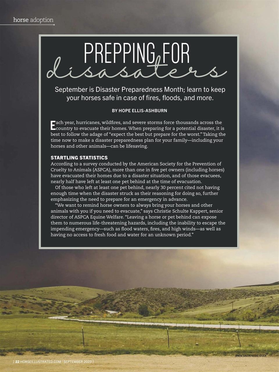 Horse Illustrated Magazine Preview Pages