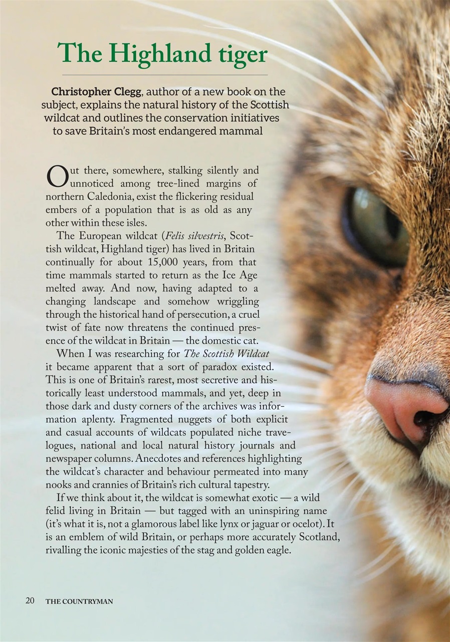 The Countryman Preview Pages