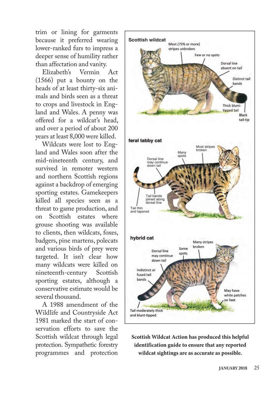 The Countryman Preview Pages