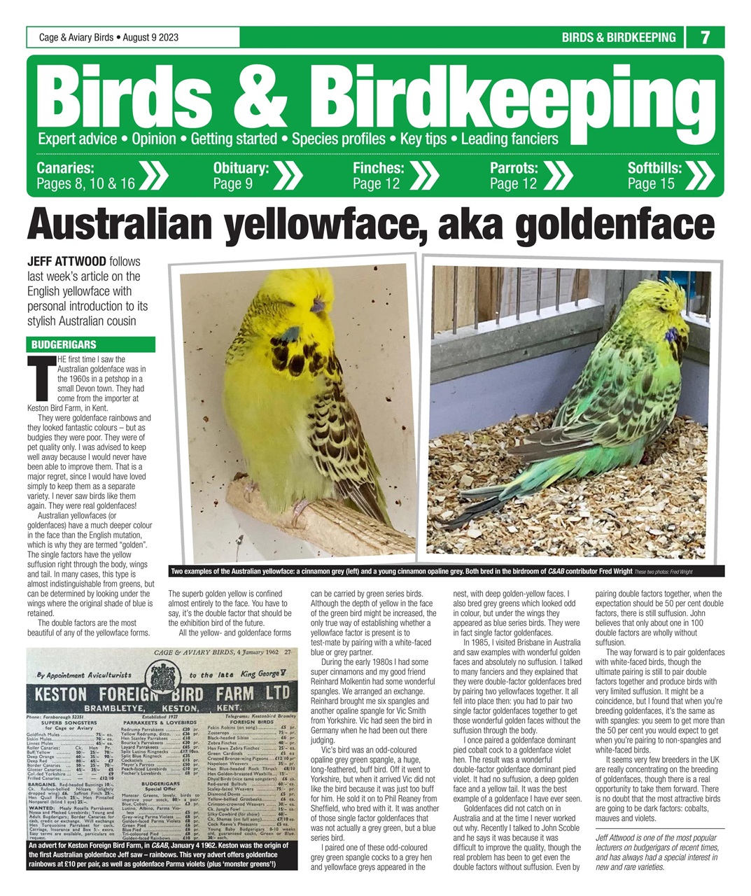 Cage & Aviary Birds Preview Pages