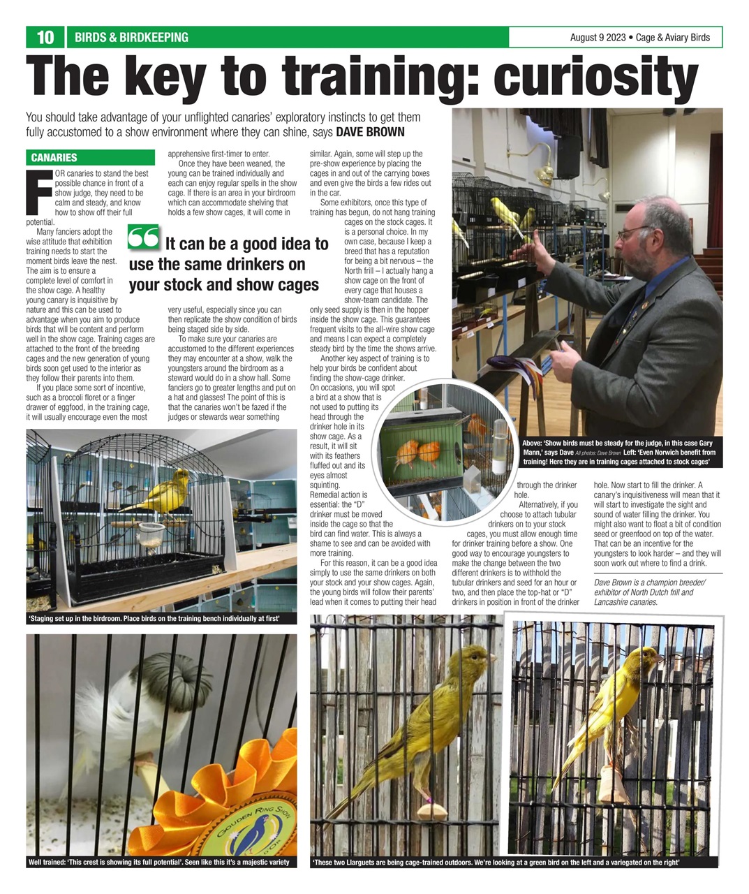 Cage & Aviary Birds Preview Pages