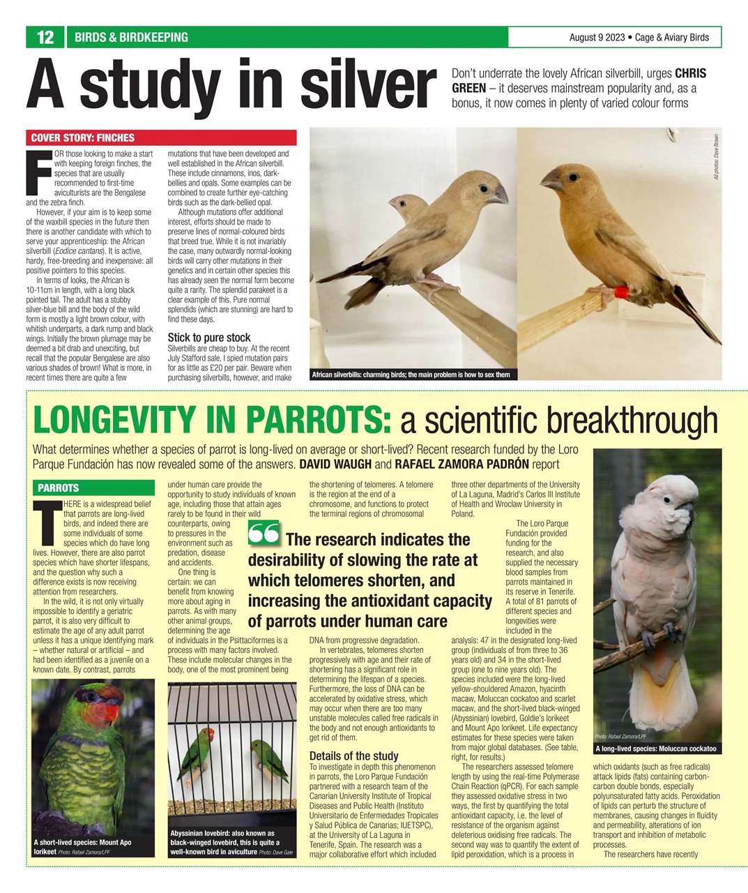 Cage & Aviary Birds Preview Pages