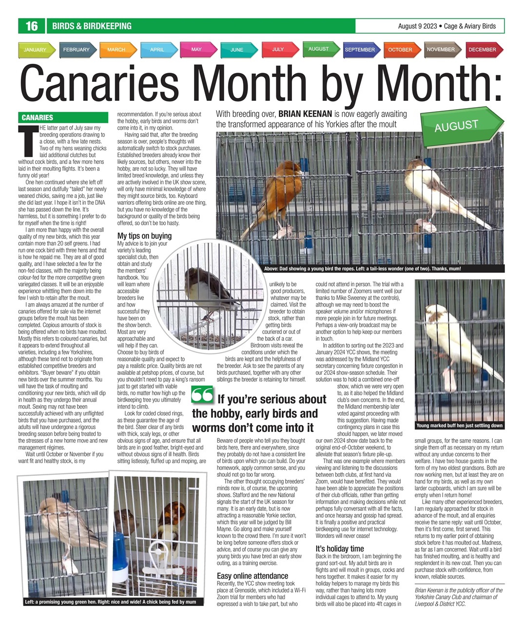 Cage & Aviary Birds Preview Pages