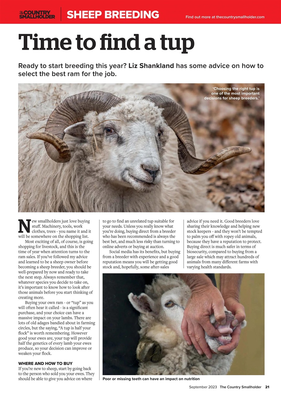 The Country Smallholder Preview Pages