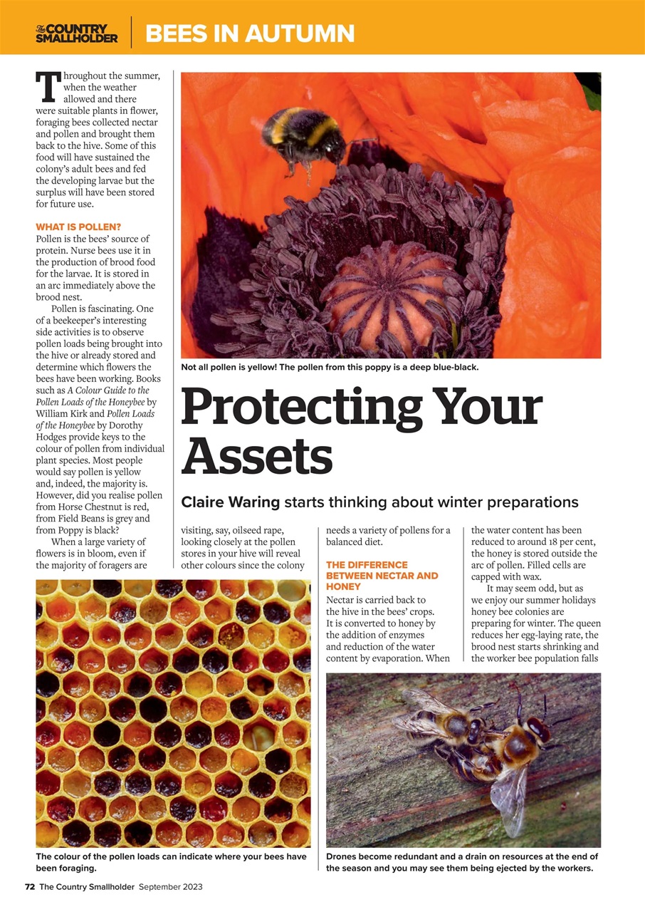 The Country Smallholder Preview Pages